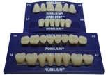 Picture of Denture Teeth (BlueSkyBio.com)